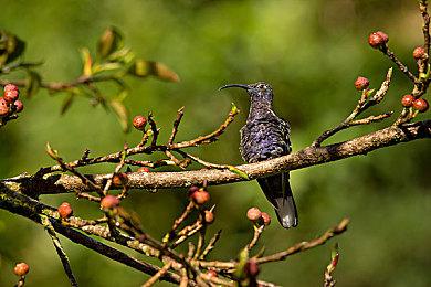 《烽火与炊烟》7天突破10w愿望单 发售日待定